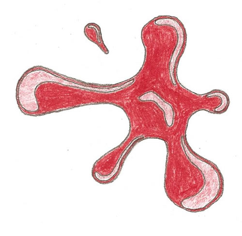 http://splashofred.squarespace.com/storage/scan0001.jpg?__SQUARESPACE_CACHEVERSION=1255405429556